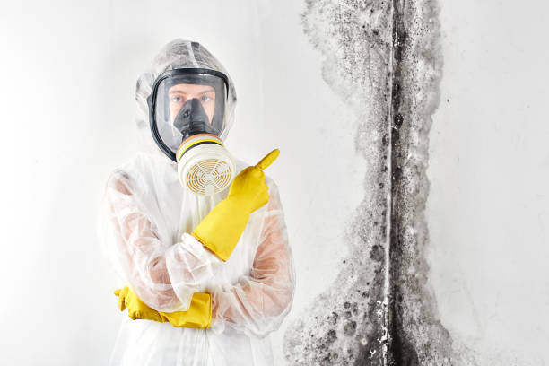 istockphoto-1161519302-612x612